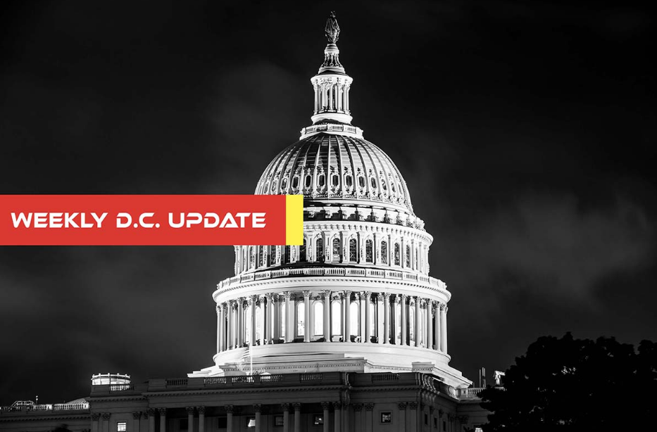 dc brief