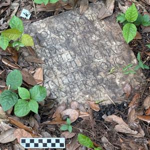 68ee5beac351b.image