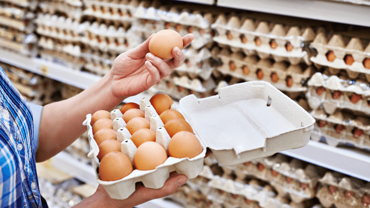 why are eggs so expensive revealing 5 factors on the price surge