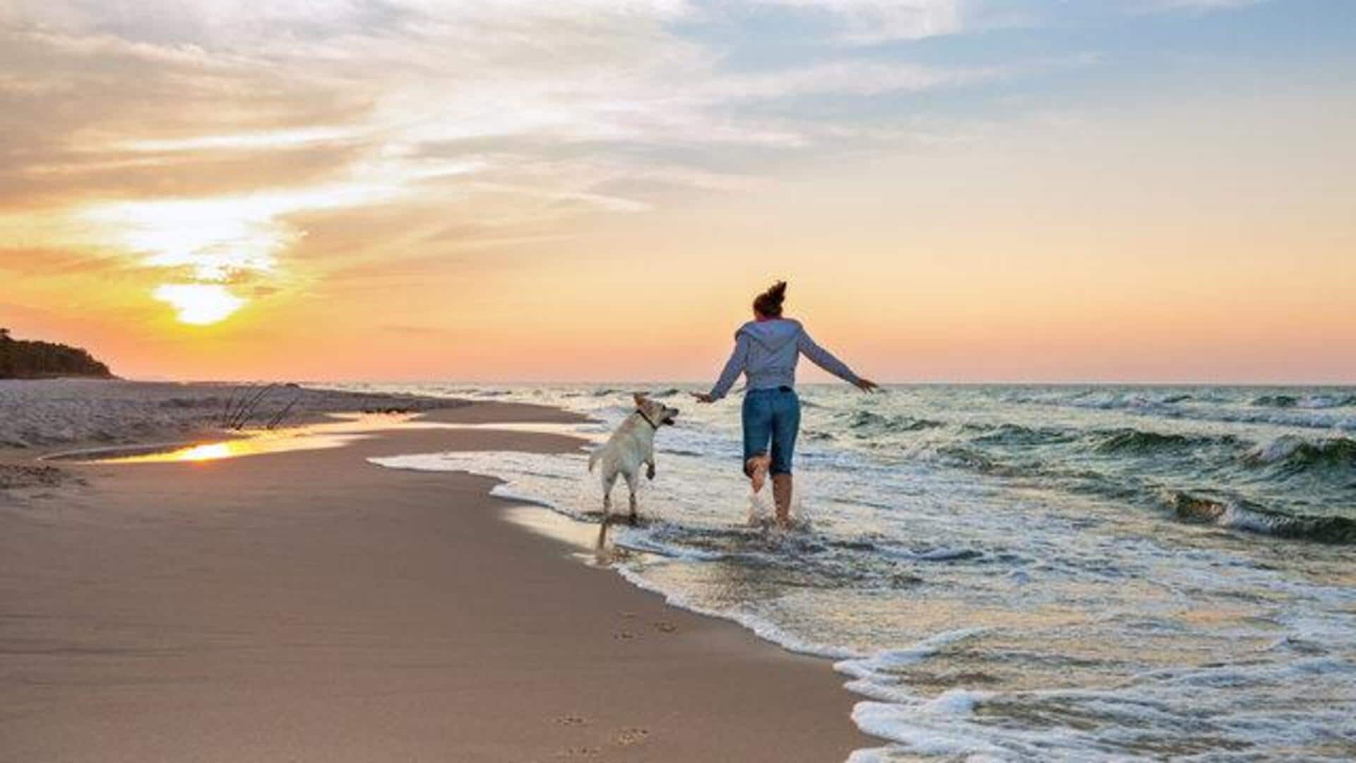 India’s top pet-friendly destinations: A list
