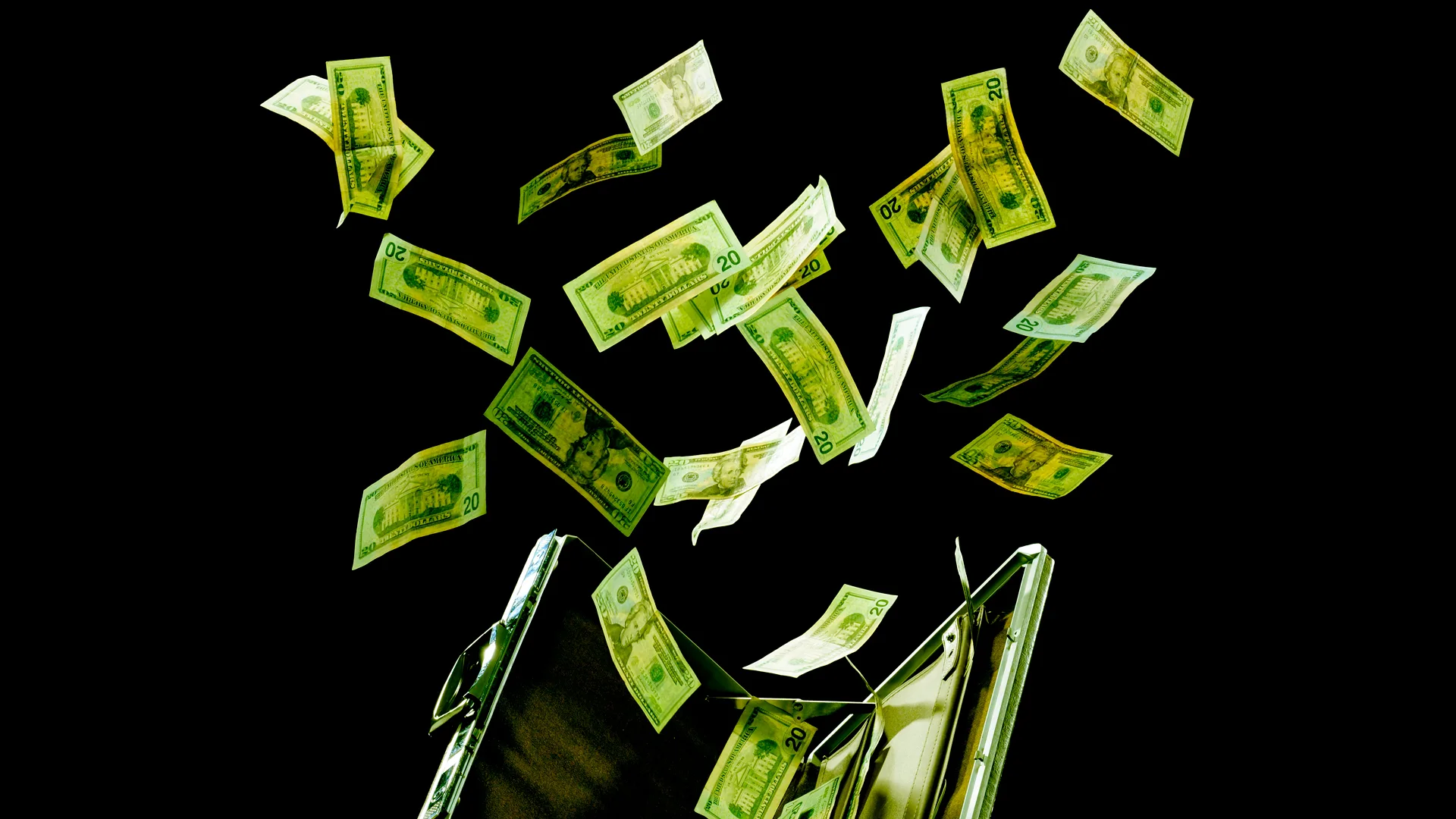 liquid net worth inc 119003045