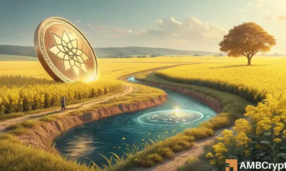 aster featured 1 1000x600 1