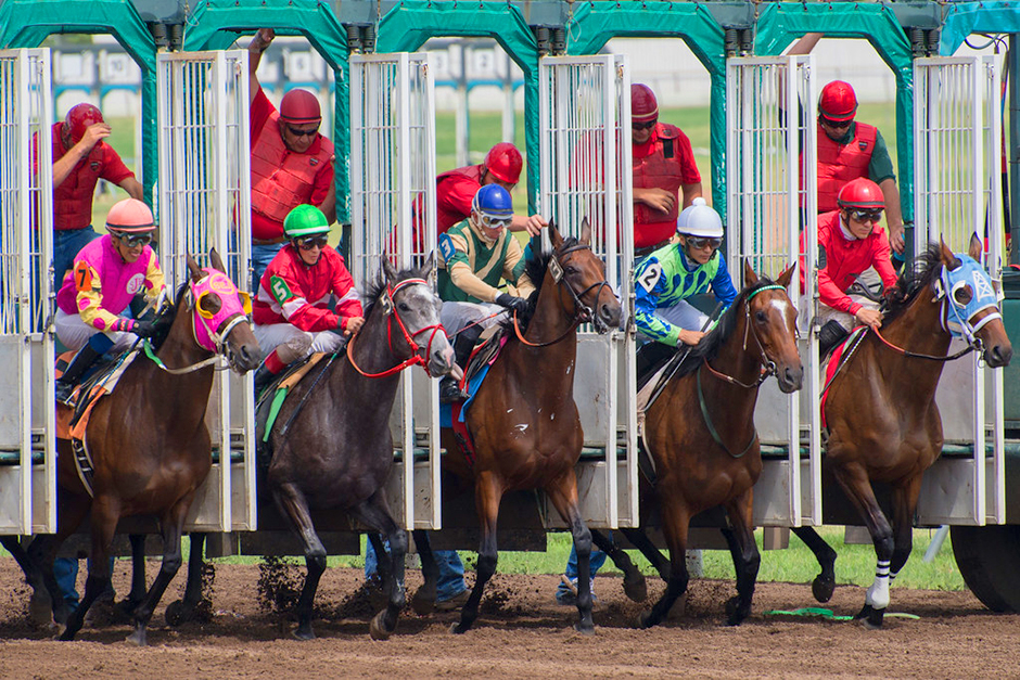 canterburyparkhorses940