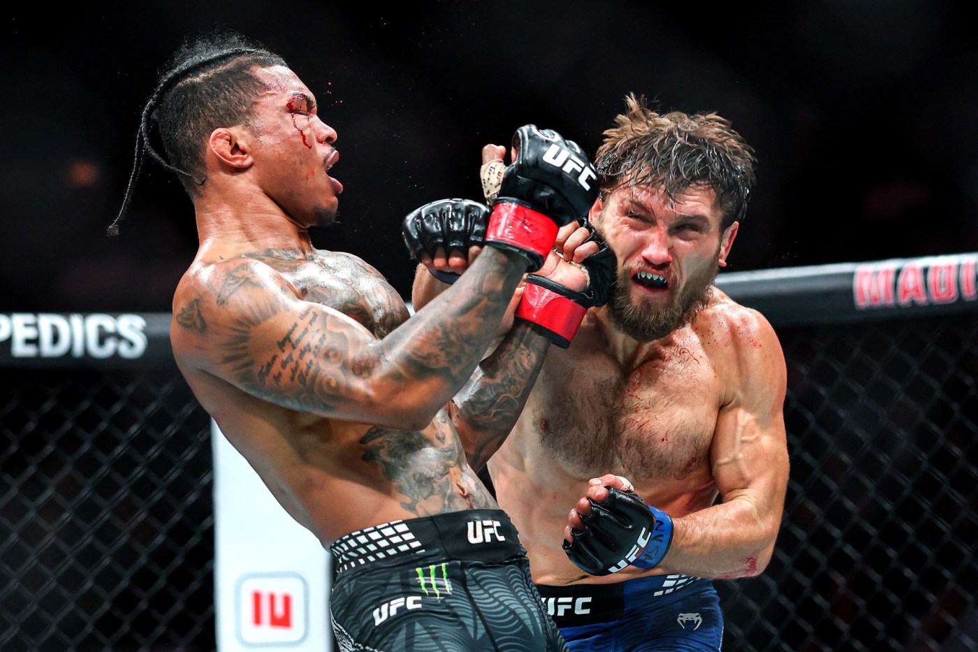 gettyimages 2247184186