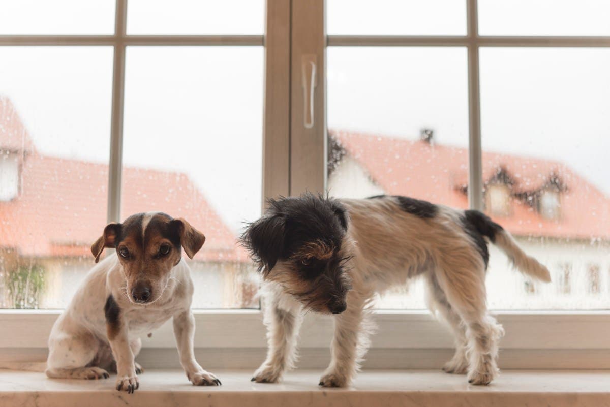 gettyimages 855890784