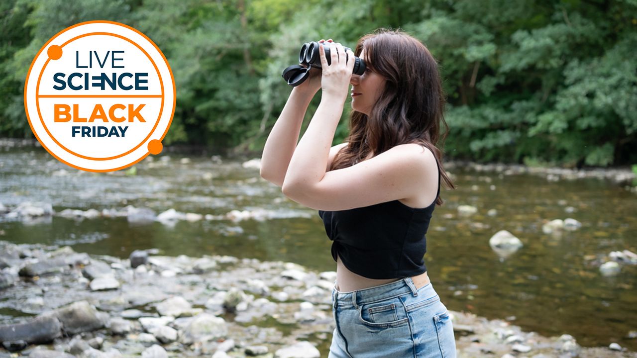 pscbbdvb5fqvy5wy5qaajp 1280 80