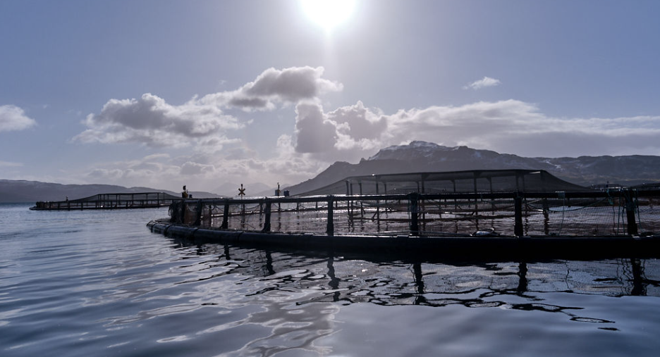 screenshot 2025 11 11 072615 e1762846022824