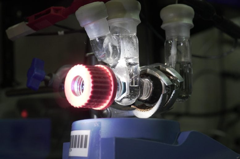 semi artificial organic photocathode 777x517 1