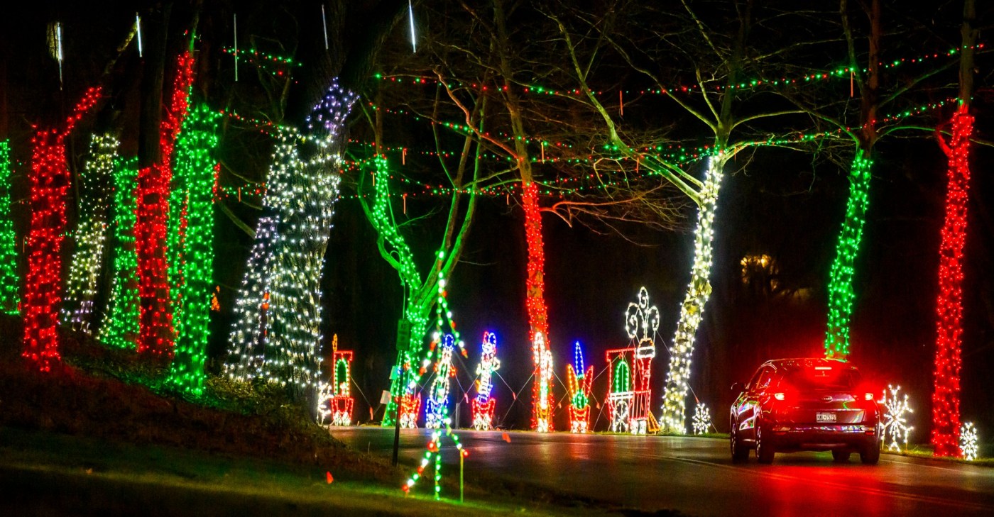 tmc l lightsintheparkwaypreview 01 1