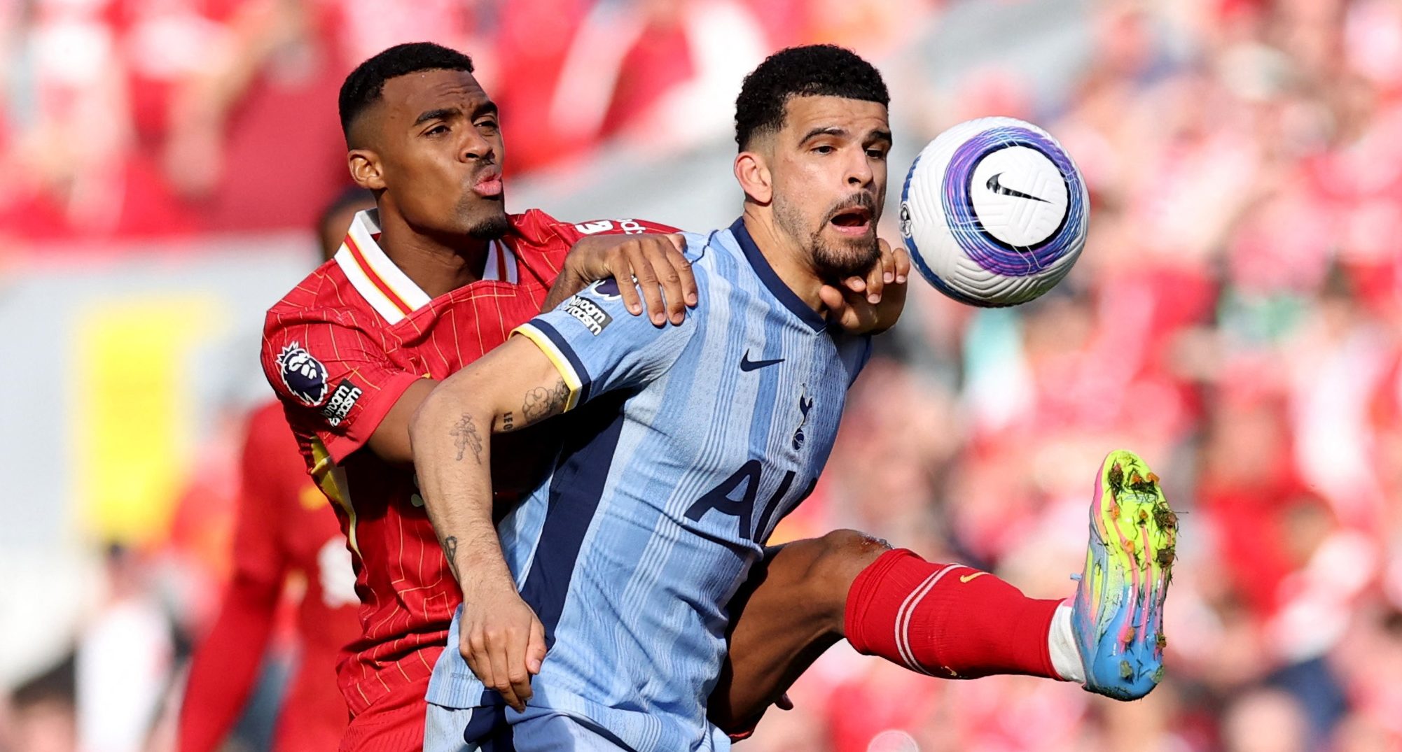 usatsi 26037205 e1751222743424