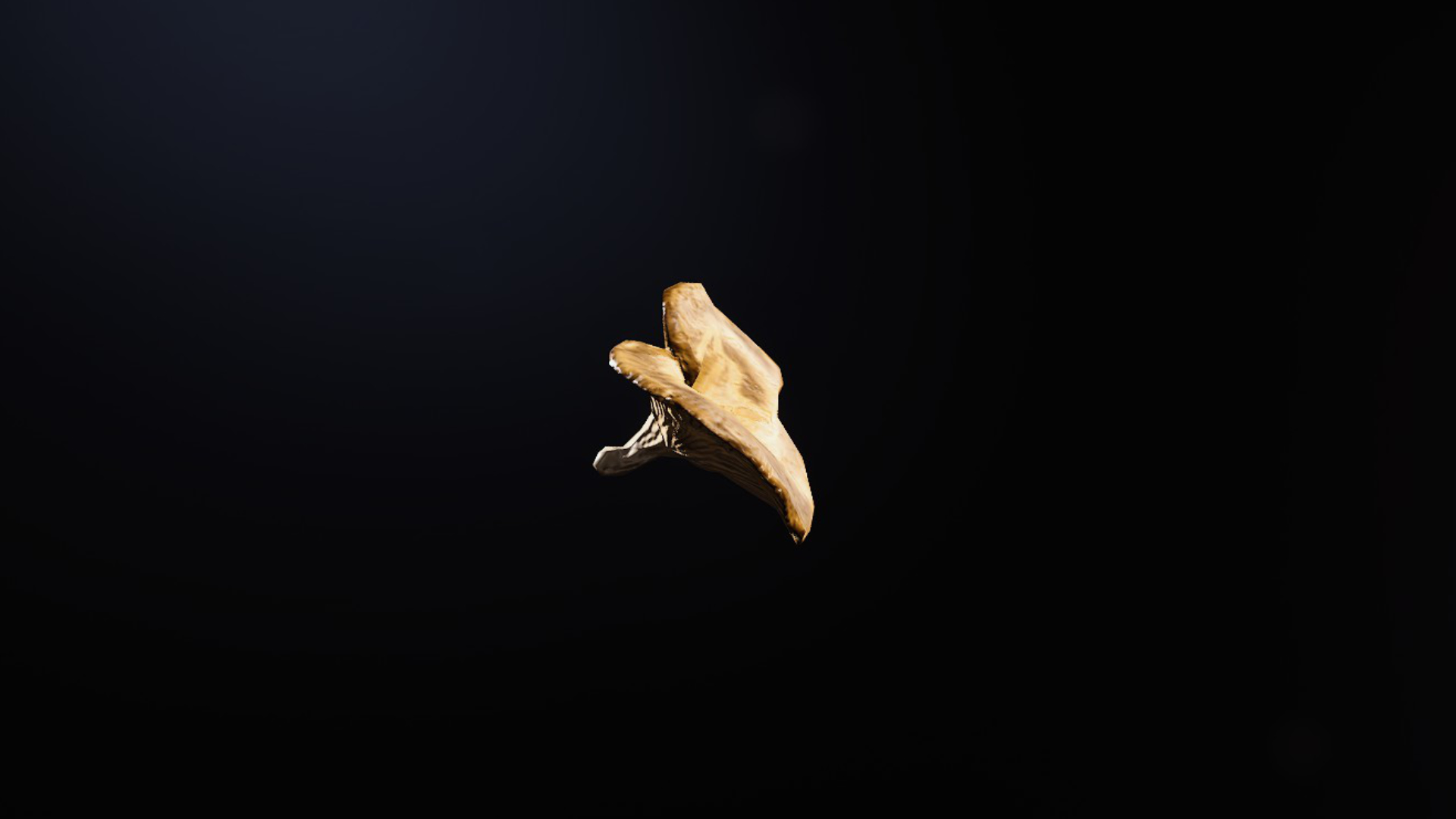 find mushrooms arc raiders feature