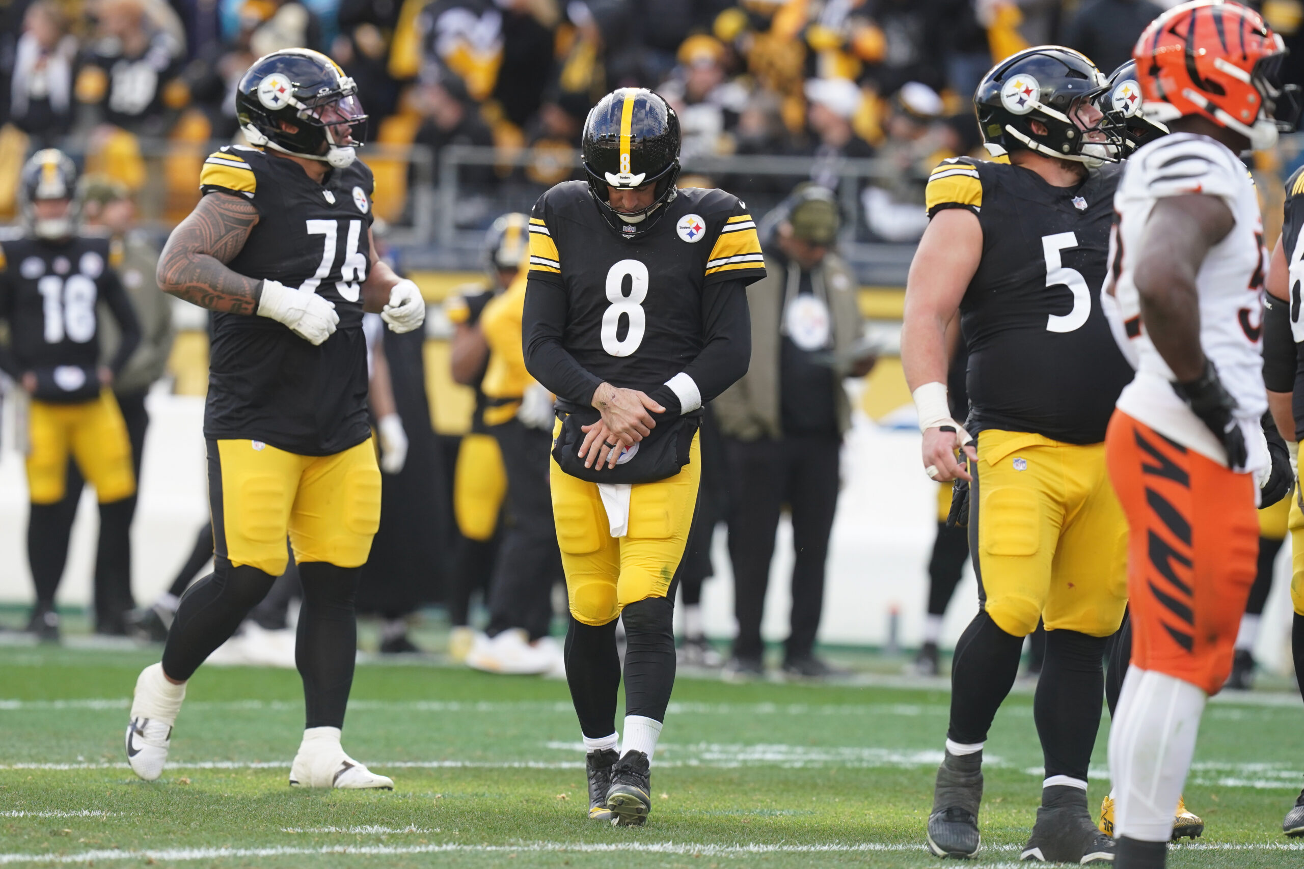 bengals steelers football