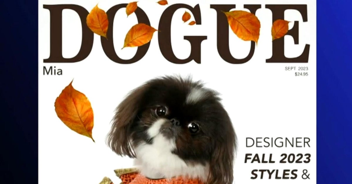 cbsn fusion dogue parody fashion magazine for dogs sued by vogue owner cond nast thumbnail