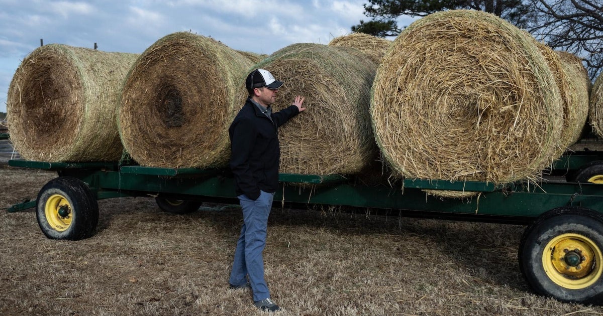 cbsn fusion farmers face mounting financial strain diesel prices rise war thumbnail