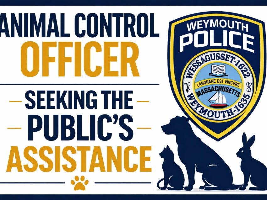 668857487 1400866732068774 6342265495283848656 n 69d8394a6a912 850x638 1